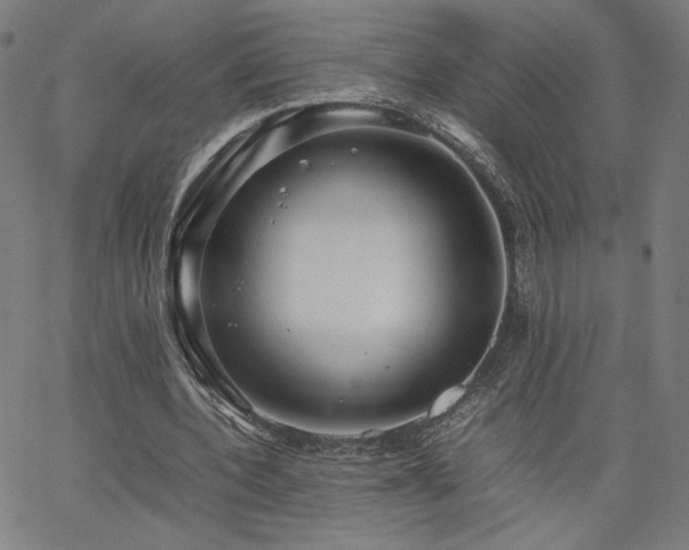 X0000066100532200603101143