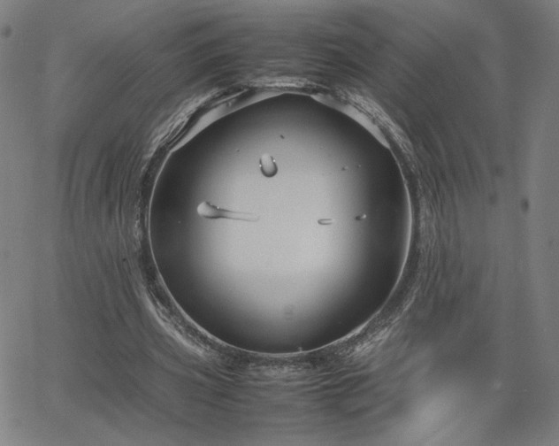 X0000066100533200603101143