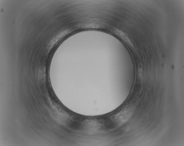 X0000066100534200603101143