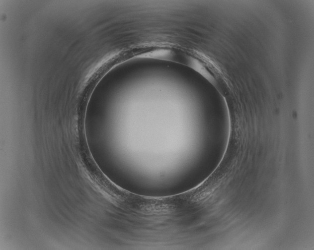 X0000066100535200603101143