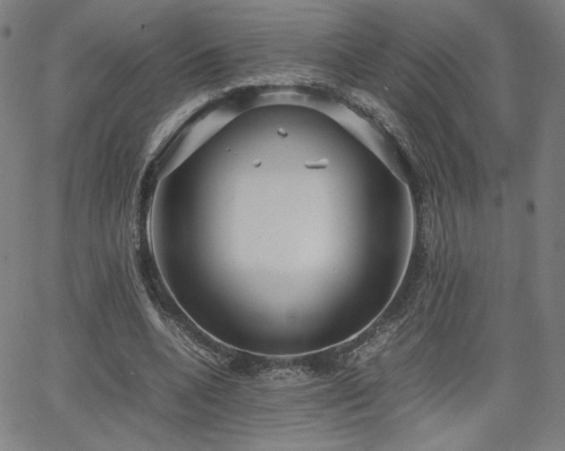 X0000066100536200603101143