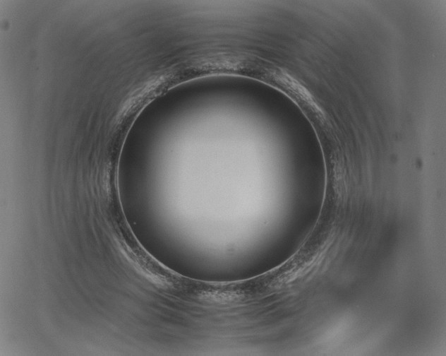 X0000066100537200603101143