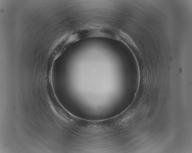 X0000066100538200603101143