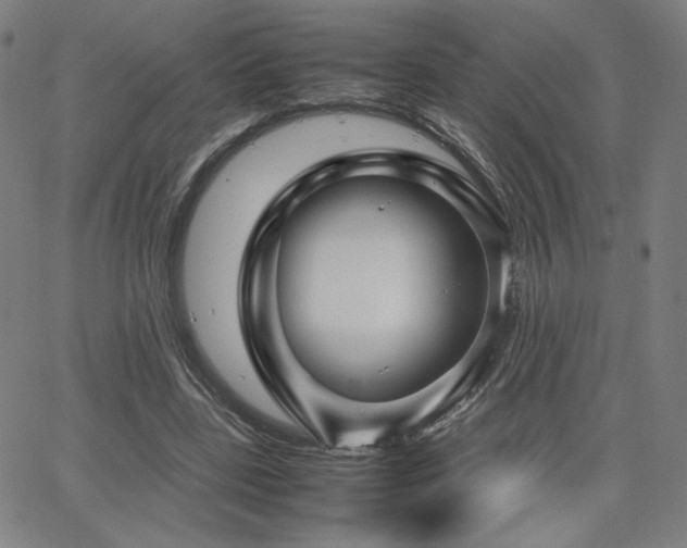 X0000066100539200603101143