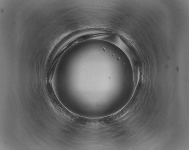 X0000066100540200603101143