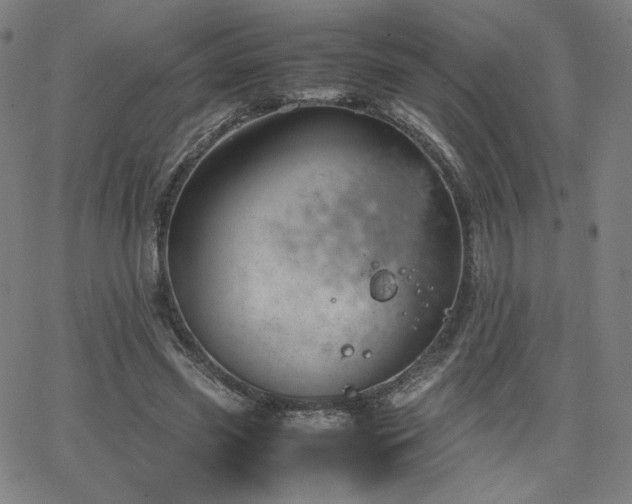 X0000066100541200603101143