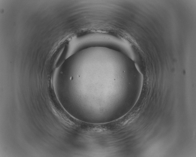 X0000066100542200603101143