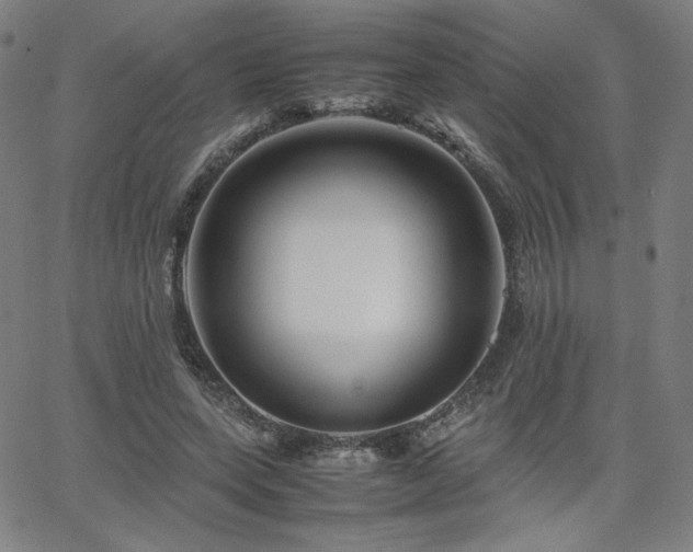 X0000066100543200603101144