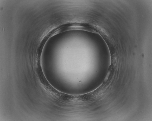 X0000066100544200603101144