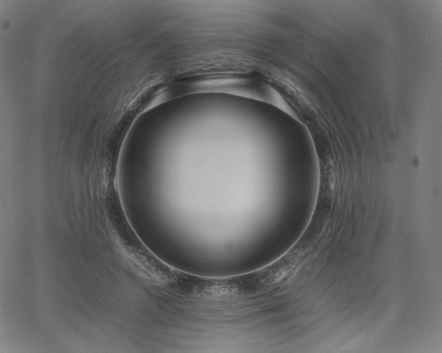 X0000066100546200603101144