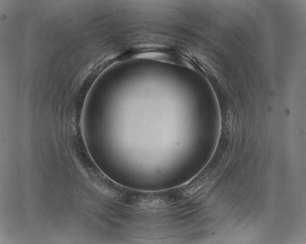 X0000066100547200603101144