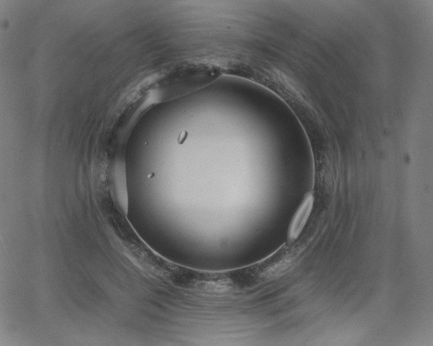 X0000066100548200603101144