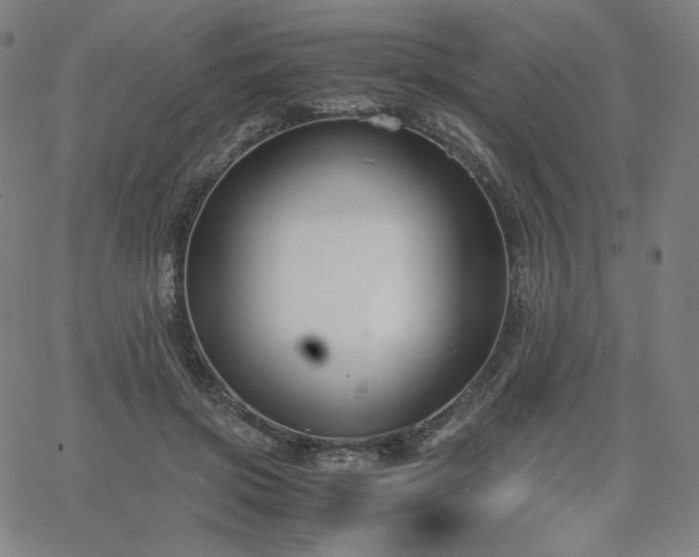 X0000066100549200603101144