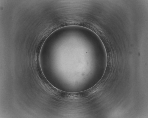 X0000066100550200603101144