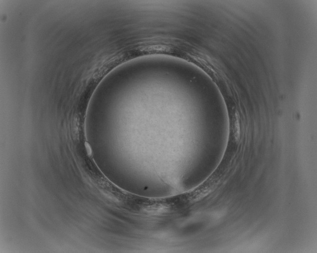 X0000066100551200603101144