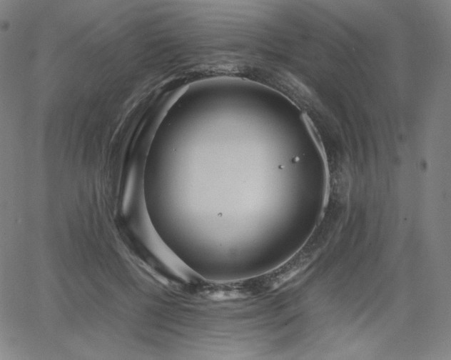 X0000066100552200603101144