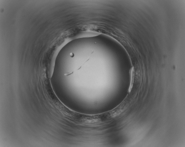 X0000066100555200603101144