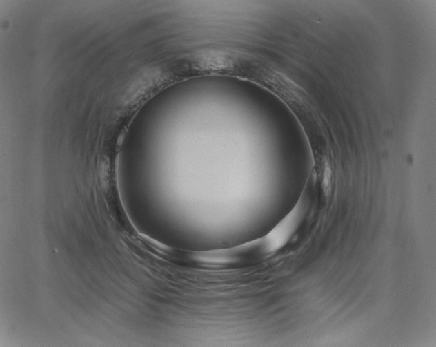 X0000066100556200603101144