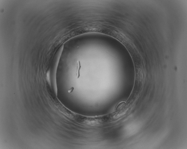 X0000066100557200603101144