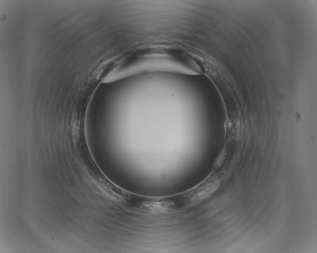 X0000066100558200603101144