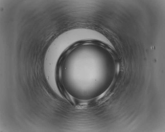 X0000066100560200603101144