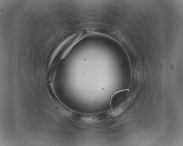 X0000066100561200603101144