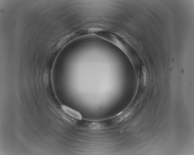 X0000066100562200603101144