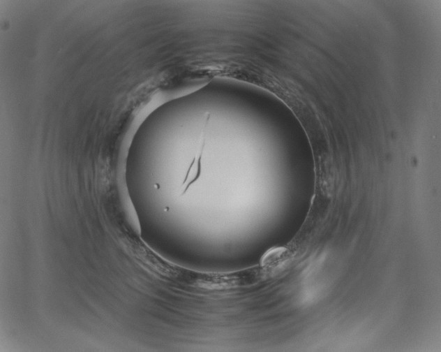 X0000066100563200603101144