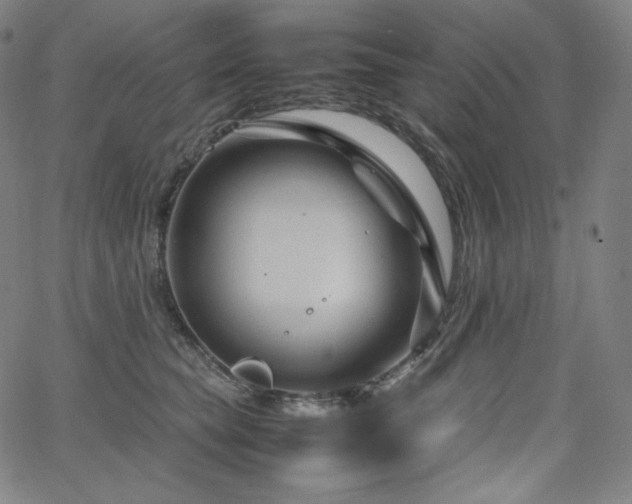 X0000066100565200603101144