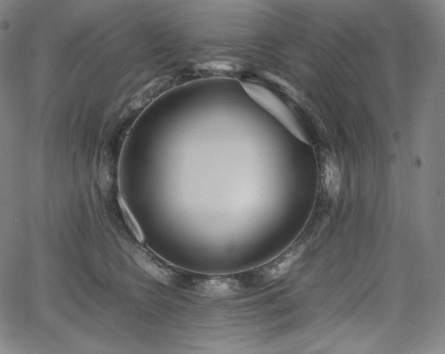 X0000066100566200603101144