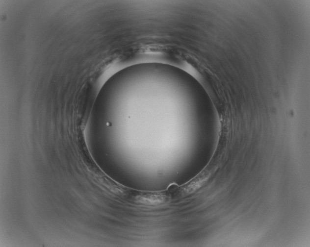 X0000066100567200603101144