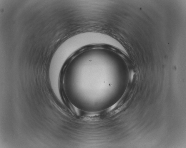 X0000066100568200603101144