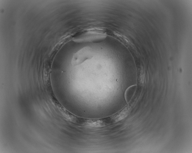 X0000066100569200603101144