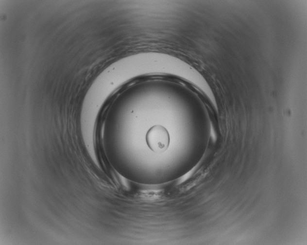 X0000066100570200603101144