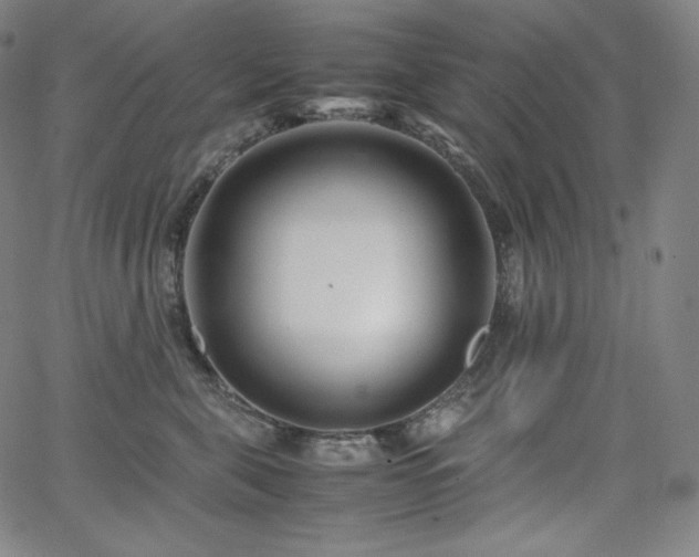 X0000066100571200603101144