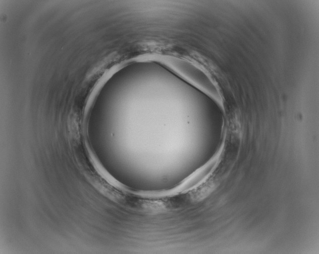 X0000066100572200603101144