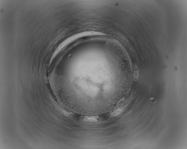 X0000066100573200603101144