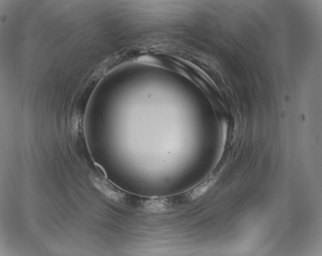 X0000066100574200603101144