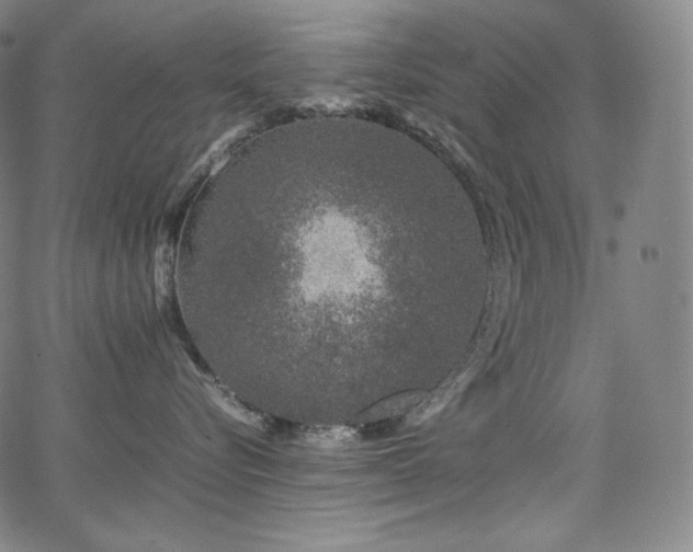 X0000066100576200603101144