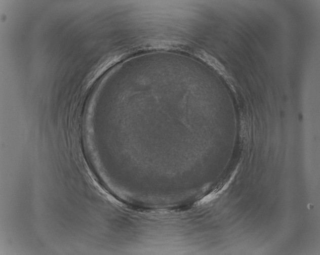 X0000066100577200603101143