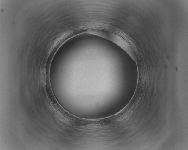 X0000066100578200603101143