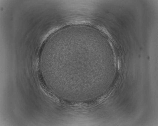 X0000066100579200603101143