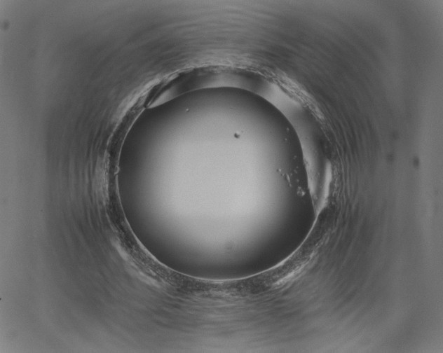 X0000066100580200603101143