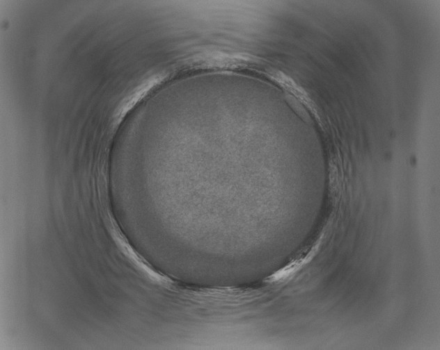 X0000066100581200603101143