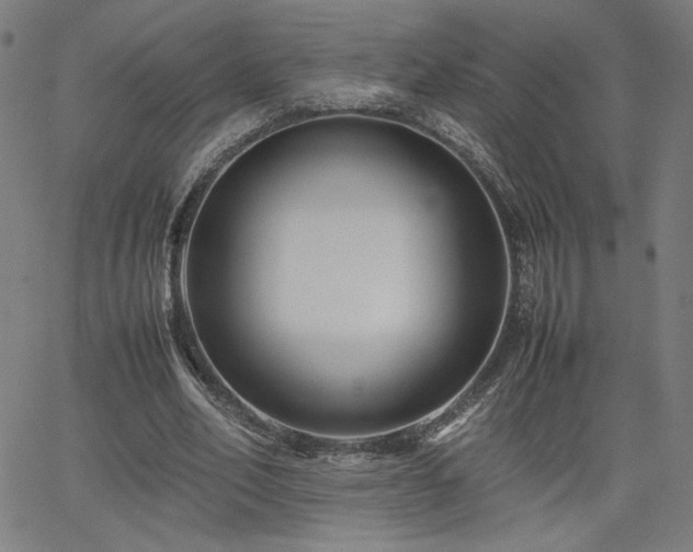 X0000066100582200603101143