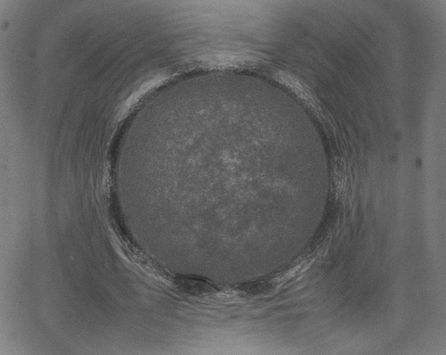 X0000066100583200603101143