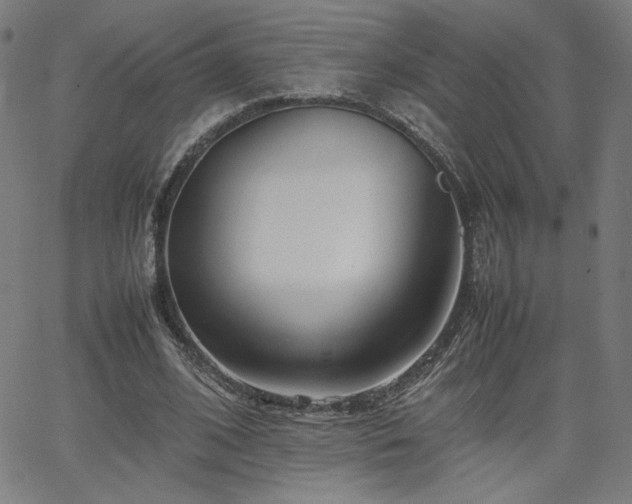 X0000066100584200603101143