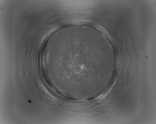 X0000066100585200603101143