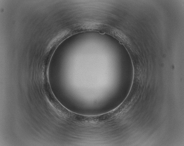 X0000066100586200603101143