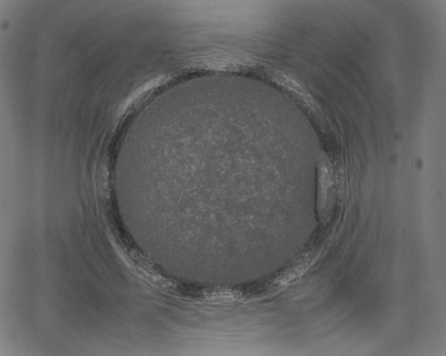 X0000066100587200603101143